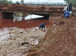 Ядовитые отходы обнаружены на свалках ТБО в Первомайске