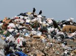 Несанкционированные свалки Владимирской области содержат около миллиона  тонн  мусора
